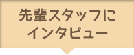 先輩スタッフにインタビュー